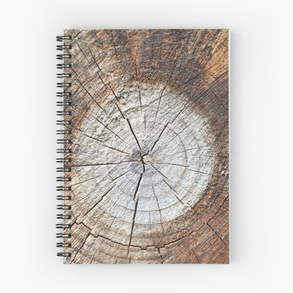 Item preview, Natures Dartboard  designed and sold by Diane Noyce.
