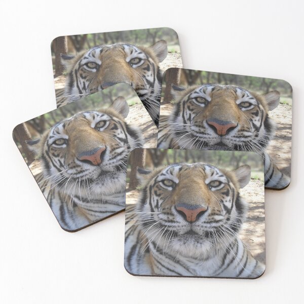 Item preview, Tiger Stare designed and sold by Steve Wilding.