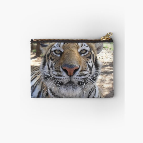 Item preview, Tiger Stare designed and sold by Steve Wilding.