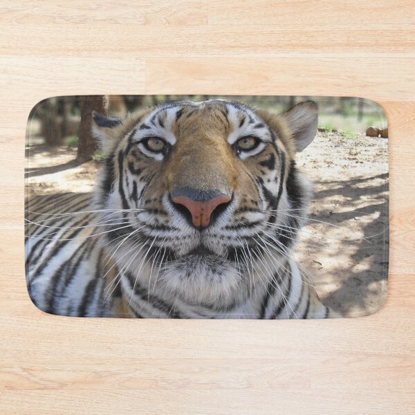 Item preview, Tiger Stare designed and sold by Steve Wilding.