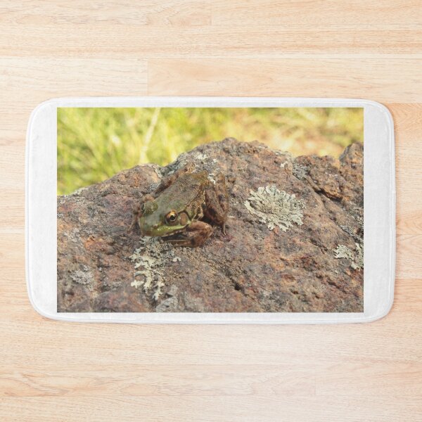 Item preview, Green frog designed and sold by Eco-Artopia.