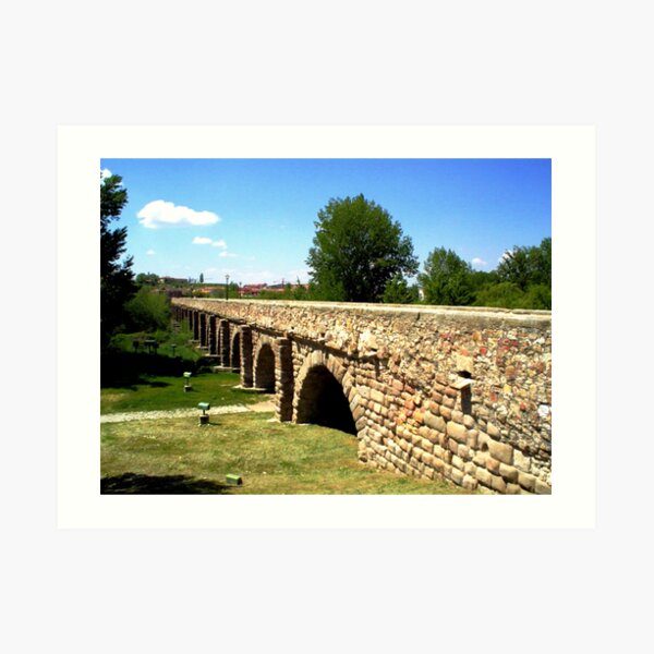 PUENTE ROMANO EN SALAMANCA Art Print