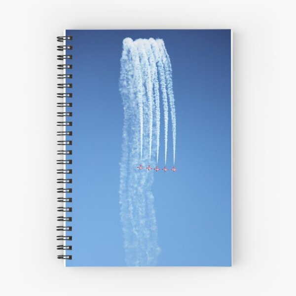 Item preview, Snowbirds Fountain designed and sold by Tracy Friesen.