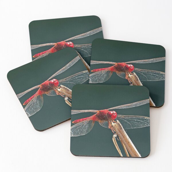 Item preview, Crimson Darter designed and sold by DonMc.