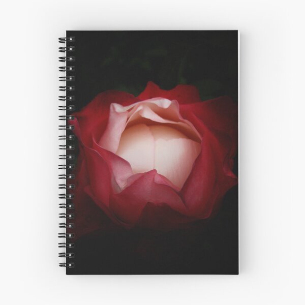 Item preview, Rose designed and sold by Karen  Betts.