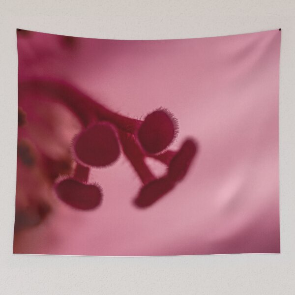 Item preview, I Hide in the Darkness designed and sold by Adam Bykowski.