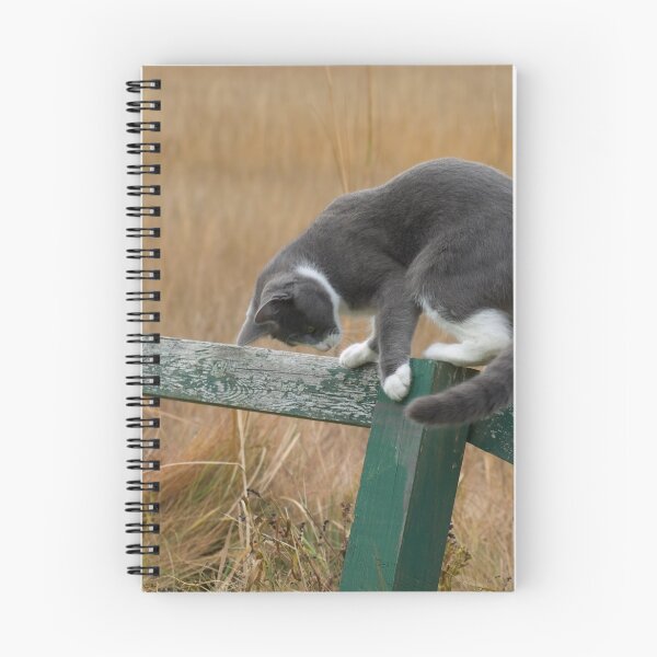 Item preview, Marsh Cat Gets Her Play On designed and sold by Klezedawg Imaging.