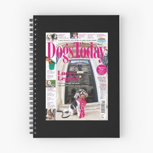 Item preview, Historic Front Cover. Plum Pudding at 10 Downing Street designed and sold by beemorebeardie.