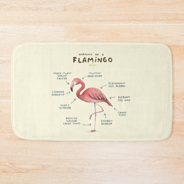 Item preview, Anatomy of a Flamingo designed and sold by SophieCorrigan.