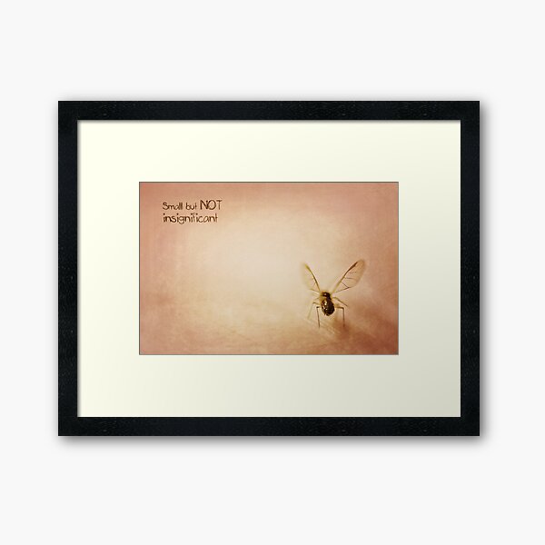 ~ Small, but NOT insignificant ~ Framed Art Print