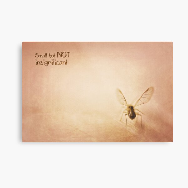 ~ Small, but NOT insignificant ~ Metal Print