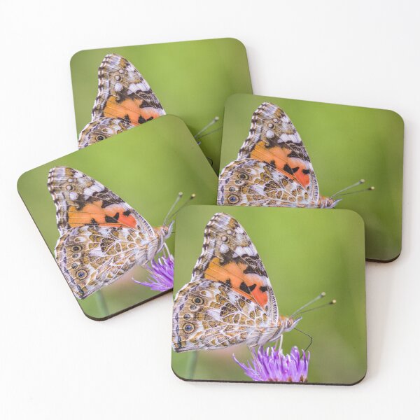 Item preview, The Painted Lady designed and sold by Jinxyboy1908.
