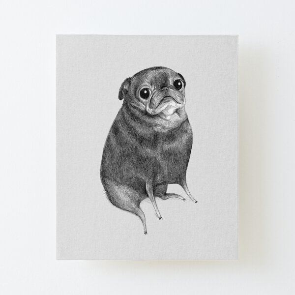 Sweet Black Pug Canvas Mounted Print