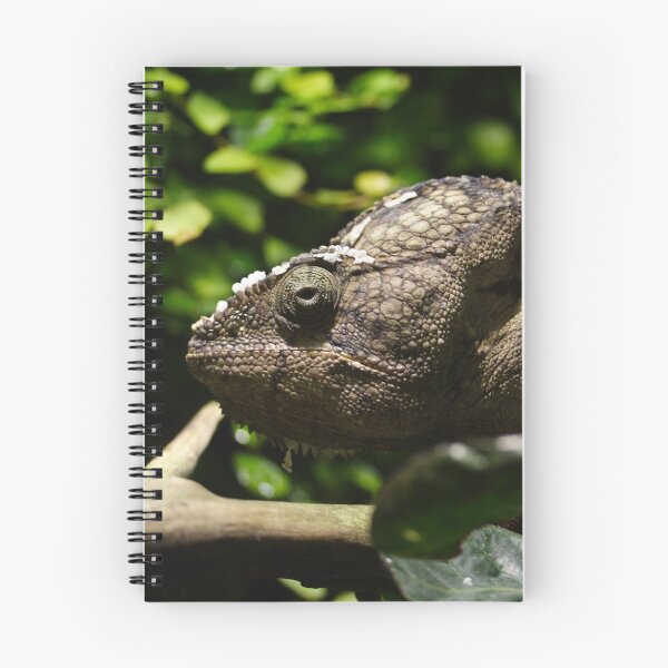 Item preview, Furcifer oustaleti designed and sold by Mythos57.