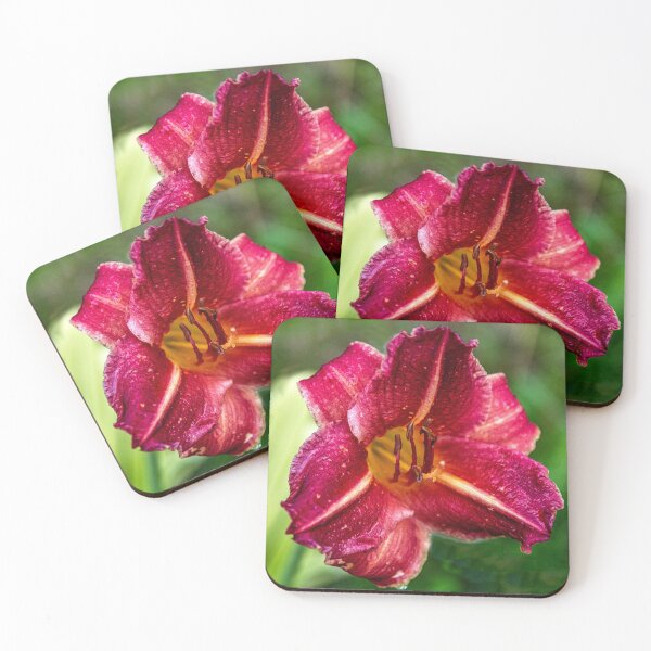 Item preview, Day Lily, 9 AM, Rain designed and sold by Bryan Spellman.