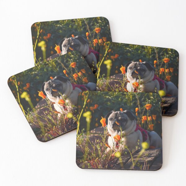 Item preview, Golden Hour Poppy Pug designed and sold by pugventurephoto.