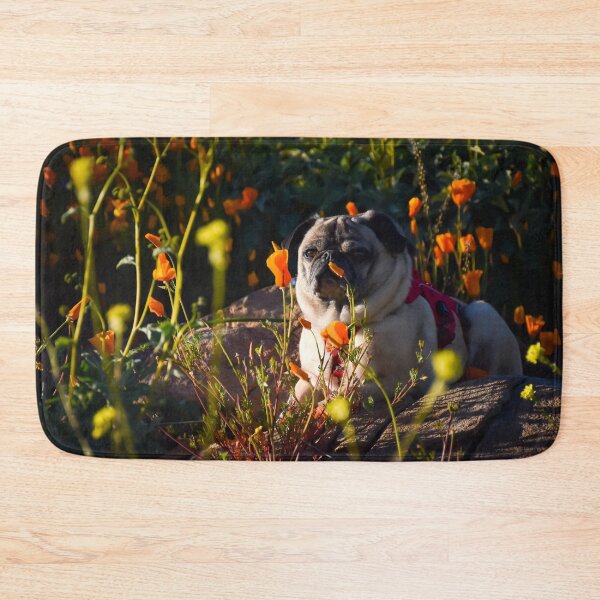 Item preview, Golden Hour Poppy Pug designed and sold by pugventurephoto.