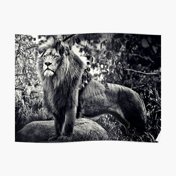 The King Poster