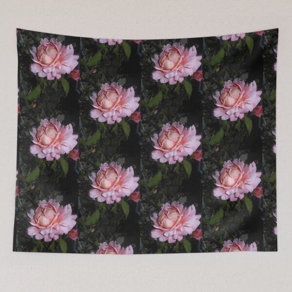 Item preview, pink rose, dark bg 07/30/19 designed and sold by Shellaqua.