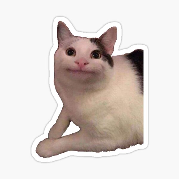 Smug Cat Meme Face - Cat - Sticker