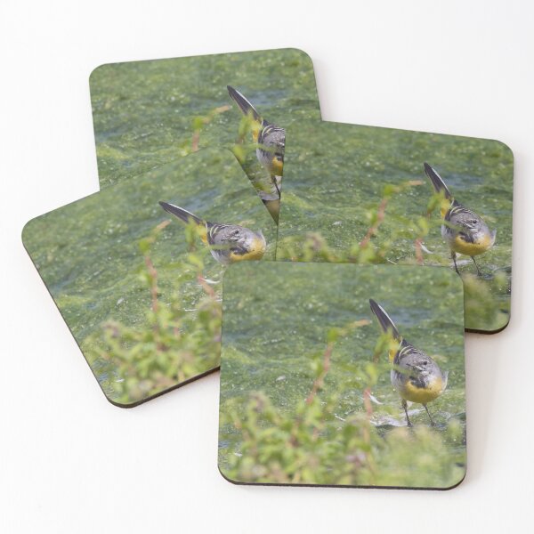 Item preview, Grey Wagtail designed and sold by LaurenTucker.