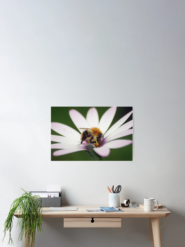 Thumbnail 2 of 3, Poster, Bumble Bee designed and sold by Rees Adams.