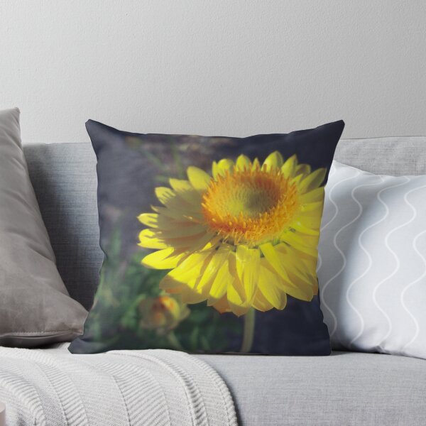 Item preview, Paper Daisy designed and sold by DVJPhotography.