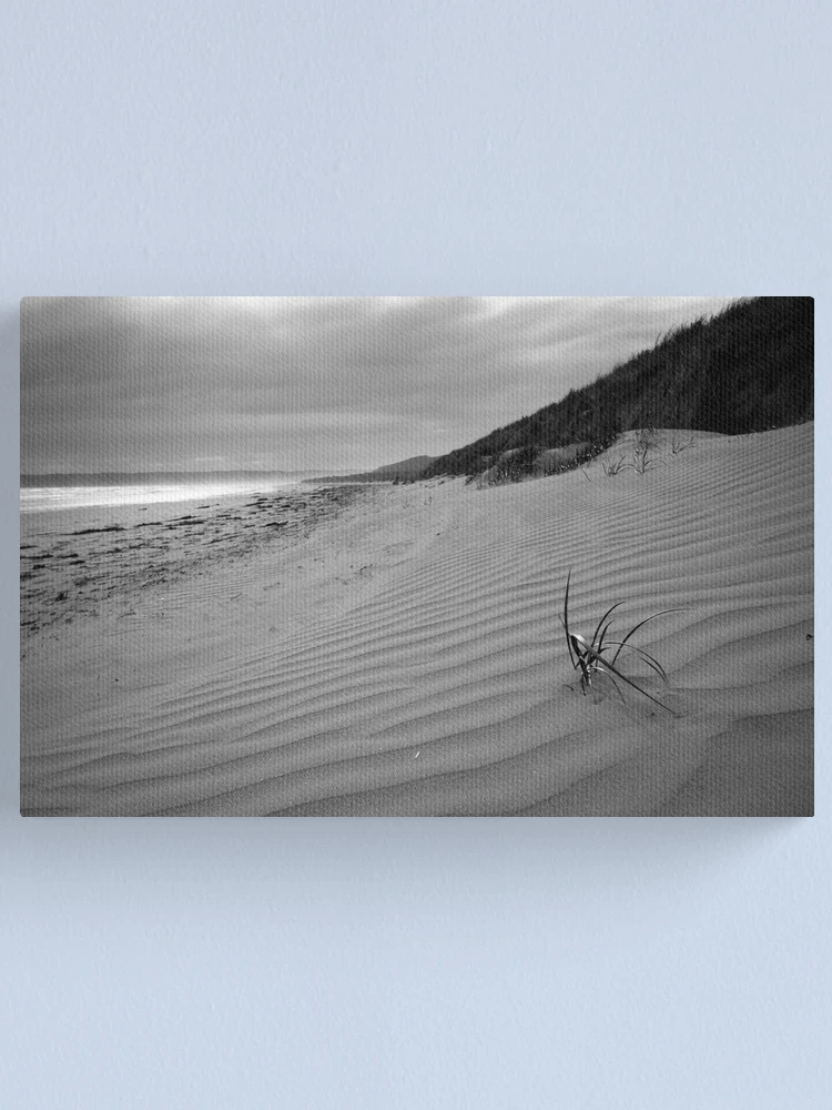 Thumbnail 1 of 3, Canvas Print, Sandy Point Ripples designed and sold by Will Hore-Lacy.