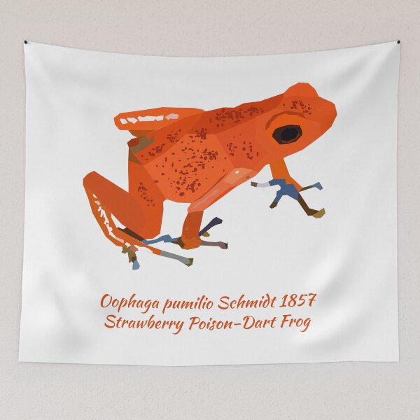 Item preview, Strawberry Poison Dart Frog Portrait designed and sold by Bug & Brush.