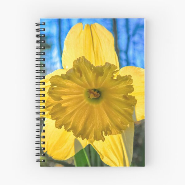 Item preview, Daffodil  designed and sold by Vincent J. Newman.