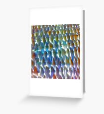 Tangled up in my nets! o trapped in my networks? Greeting Card