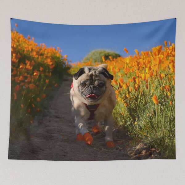 Item preview, Happy Pug In Poppy Super Bloom designed and sold by pugventurephoto.