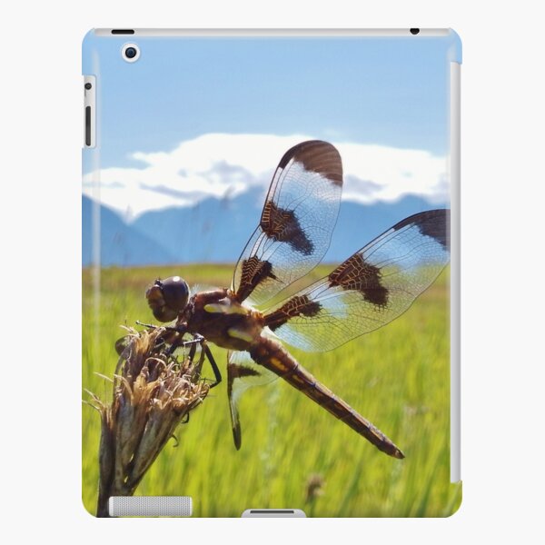 Black & White Dragonfly iPad Snap Case