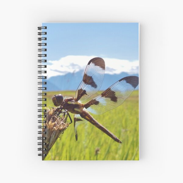 Black & White Dragonfly Spiral Notebook