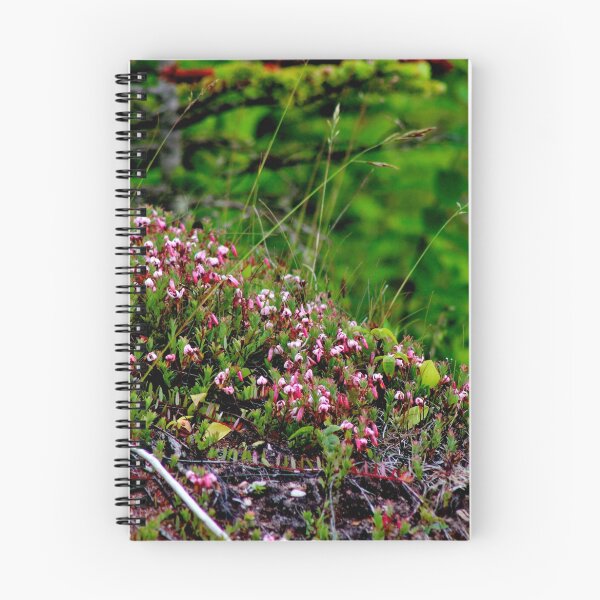Item preview, Small Cranberry designed and sold by Kathleen Daley.