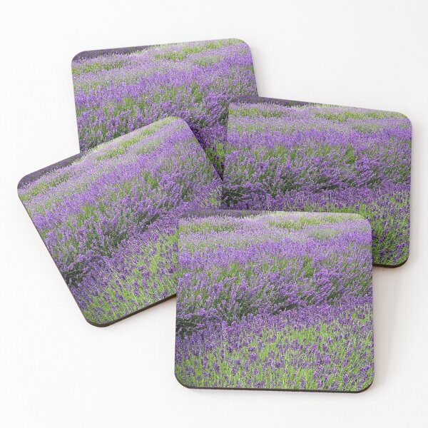 Item preview, Lines of lavender designed and sold by Mandi Collingridge.