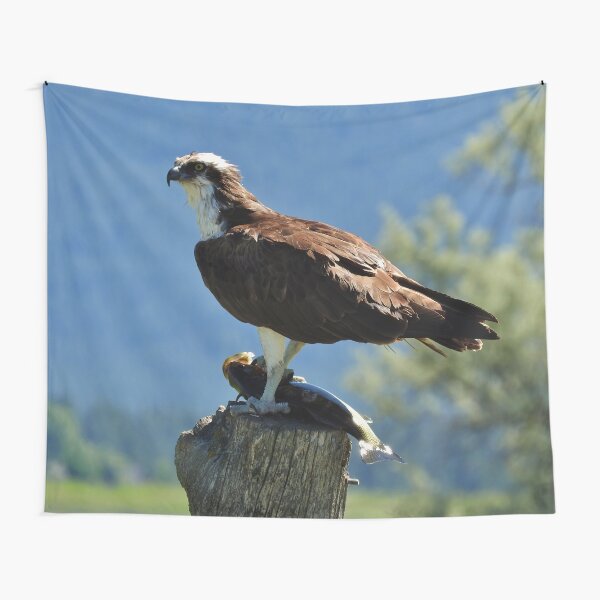 Nice Catch Tapestry