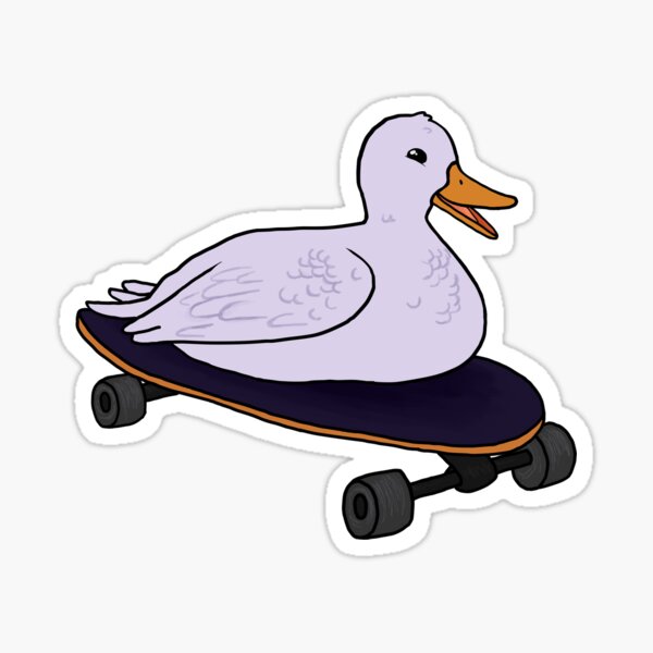 SkateBIRD: passarinhos a grindar com as asinhas a bater – Rubber