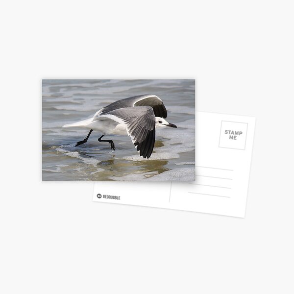 Item preview, Get Out of My Way designed and sold by Paulette1021.