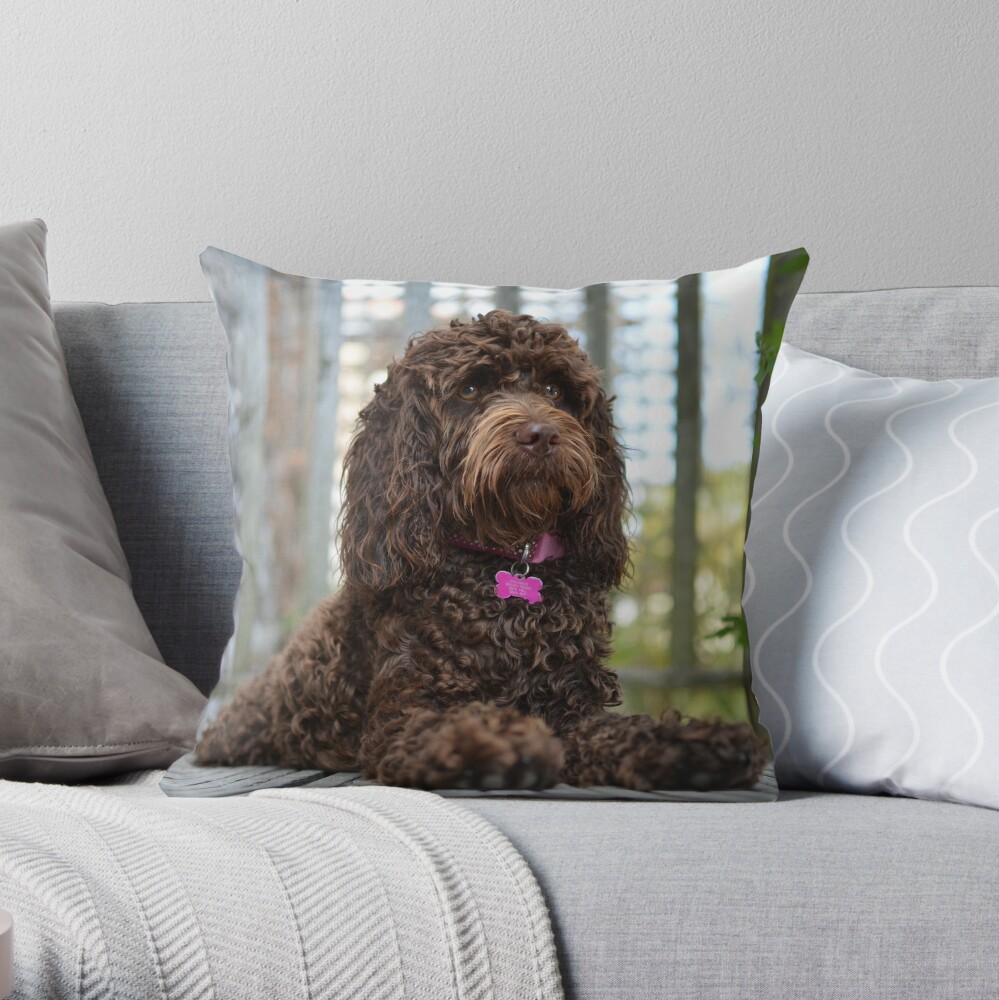 cockapoo pillow