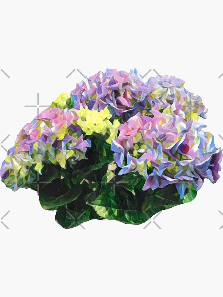 Purple Hydrangea by planet-eye