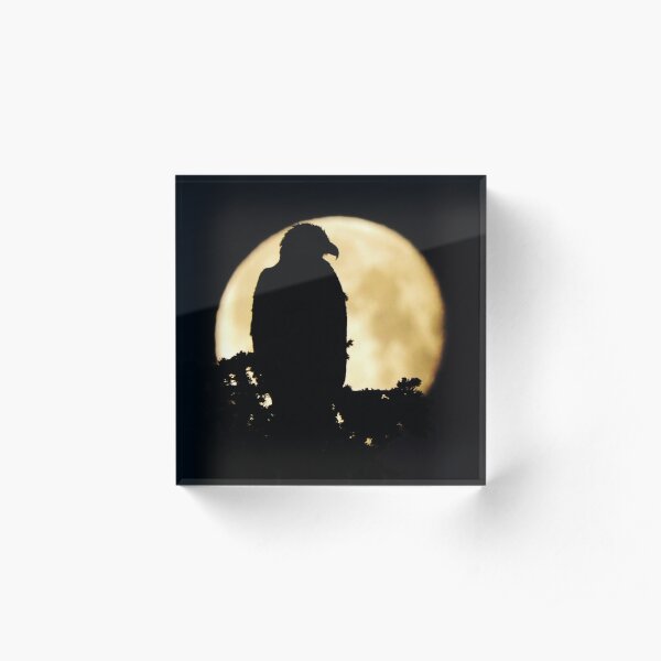 Bald Eagle Silhouette Acrylic Block
