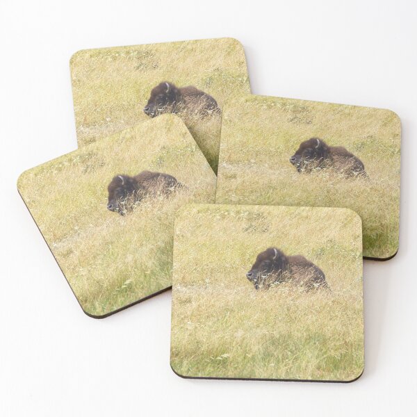 Artikelvorschau, Bison, der im Gras stillsteht entworfen und verkauft von Vivar Photo.