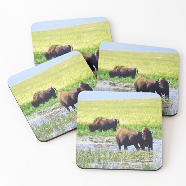 Item preview, Three Amigos designed and sold by Vivar Photo.