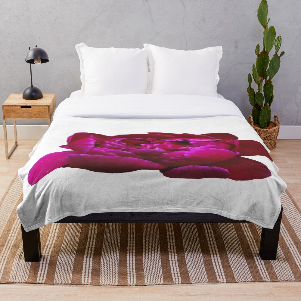 Pink Peony Bloom on a throw blanket