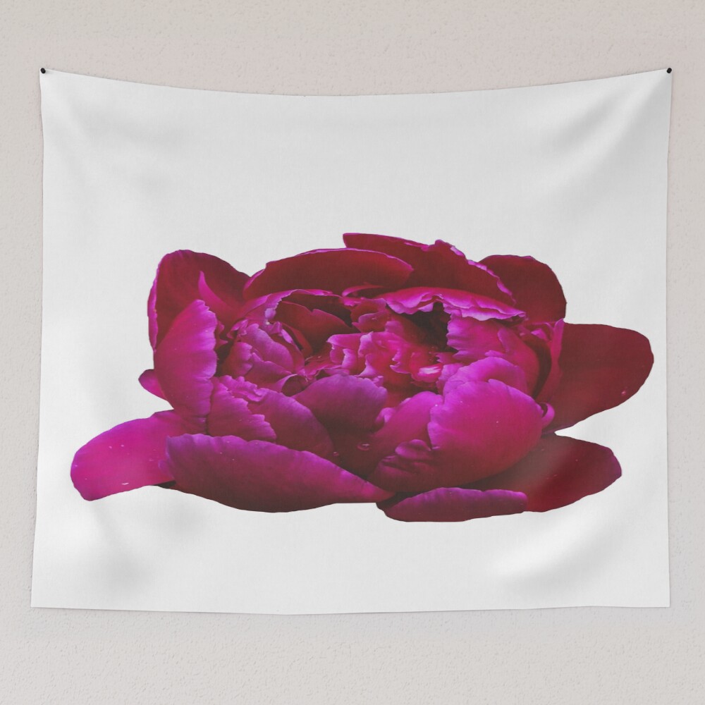 Pink Peony Bloom on a tapestry