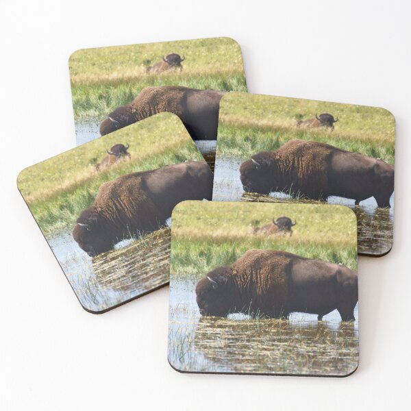 Item preview, Bison in a Shallow Lake, Not Quite Alone designed and sold by Vivar Photo.