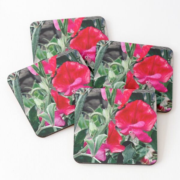 Item preview, Sweet peas designed and sold by Mandi Collingridge.