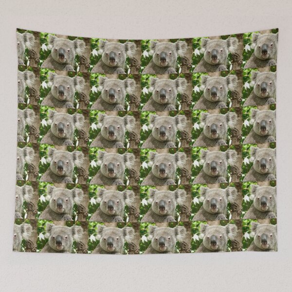 Item preview, Koala, Birdland Animal Park designed and sold by Trish Meyer.