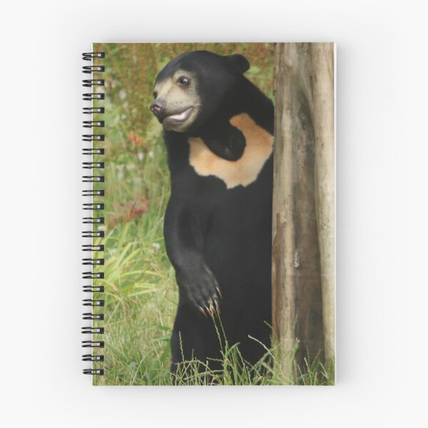 Item preview, Sun Bear designed and sold by Ladymoose.